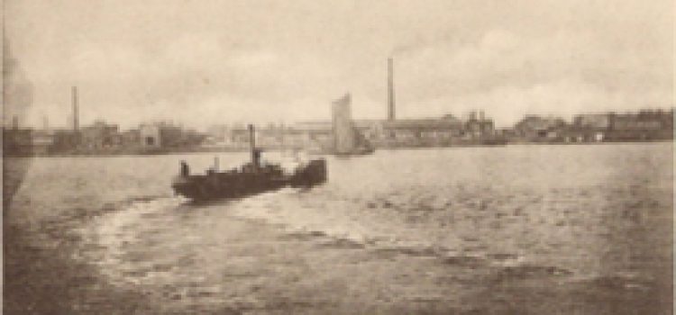 Isle of Dogs